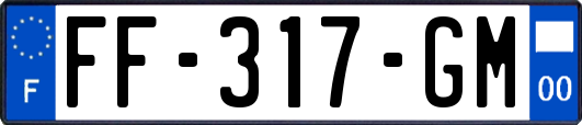 FF-317-GM