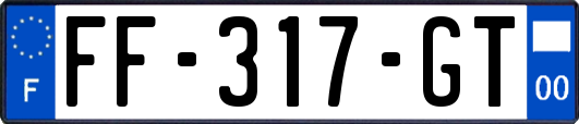 FF-317-GT