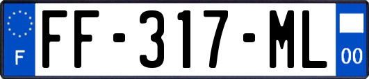 FF-317-ML