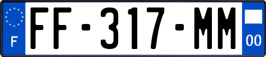 FF-317-MM