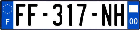 FF-317-NH