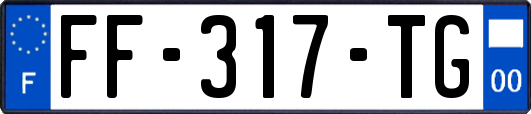 FF-317-TG