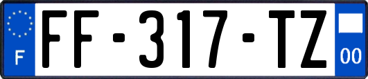 FF-317-TZ
