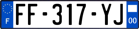 FF-317-YJ