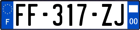 FF-317-ZJ