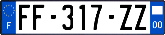 FF-317-ZZ