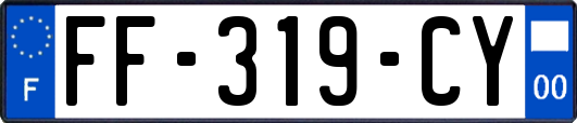 FF-319-CY