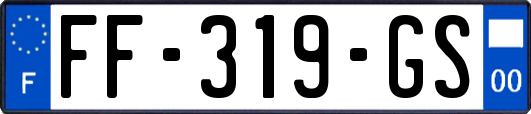FF-319-GS