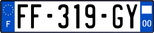 FF-319-GY