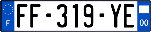 FF-319-YE