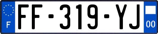 FF-319-YJ