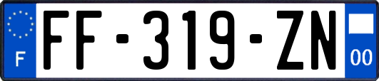 FF-319-ZN