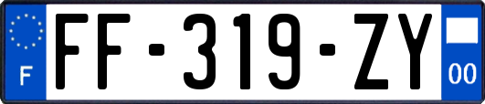 FF-319-ZY