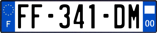 FF-341-DM