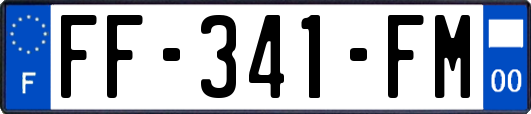 FF-341-FM