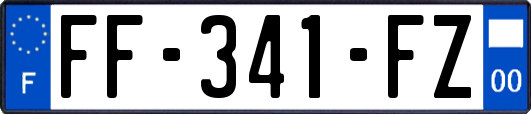 FF-341-FZ