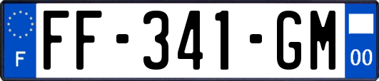 FF-341-GM