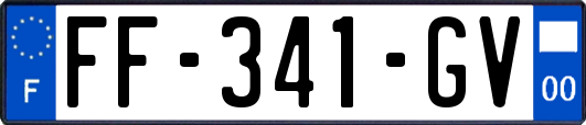 FF-341-GV