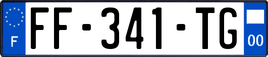 FF-341-TG