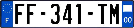 FF-341-TM