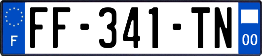 FF-341-TN