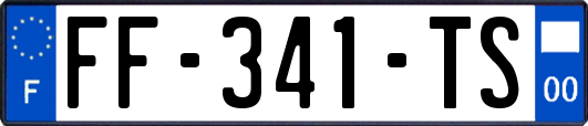 FF-341-TS