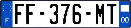 FF-376-MT