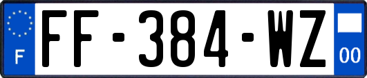 FF-384-WZ
