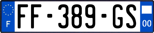 FF-389-GS