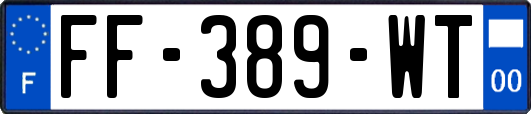 FF-389-WT