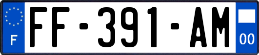 FF-391-AM