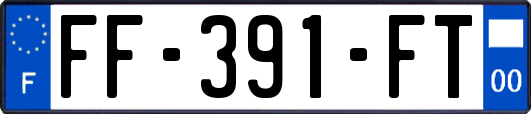 FF-391-FT