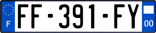 FF-391-FY