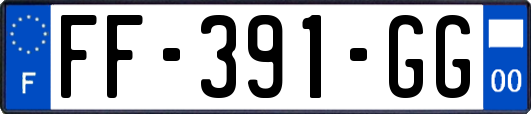 FF-391-GG