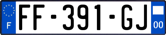 FF-391-GJ