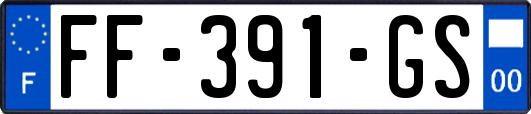 FF-391-GS