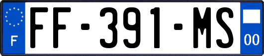 FF-391-MS