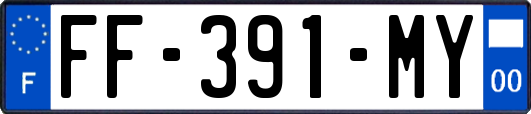 FF-391-MY