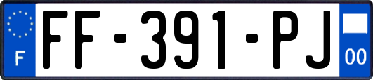 FF-391-PJ