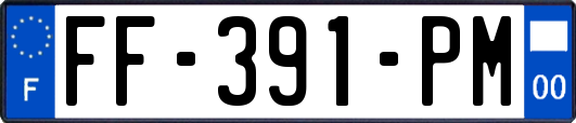FF-391-PM