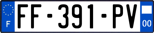 FF-391-PV