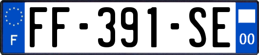 FF-391-SE