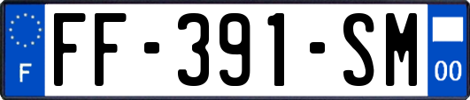 FF-391-SM