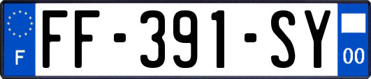 FF-391-SY