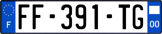 FF-391-TG