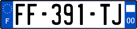 FF-391-TJ
