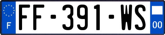 FF-391-WS