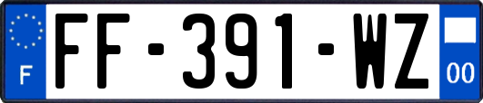 FF-391-WZ