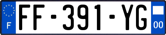 FF-391-YG