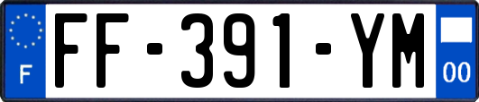 FF-391-YM